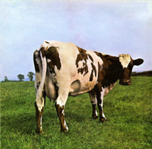 Plattencover der Pink Floyd LP Atom Heart Mother.